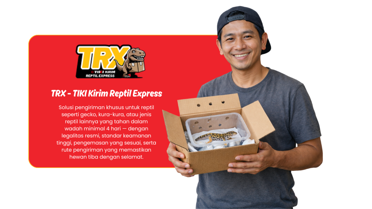 jasa-pengiriman-reptil-jakarta-timur
