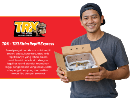 jasa-pengiriman-reptil-jakarta-timur